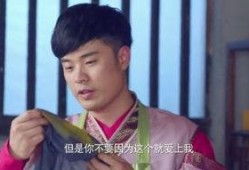极品家丁土豆在线观看