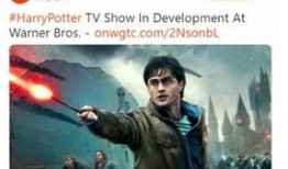 哈利波特最新爆料一月,神秘新篇章，一月揭秘神秘力量与未知命运