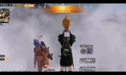 和平精英海贼王爆料视频,跨界联动，揭秘神秘爆料视频背后的精彩故事