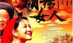 电视剧胡杨女人全集在线观看,穿越时空的坚韧传奇