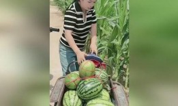 邳州网红吃小瓜事件,引发网友热议与反思