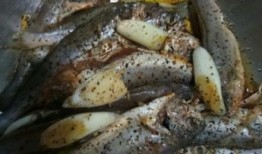 蚝油小鱼爆料视频大全图片,视频大全图片揭秘幕后故事