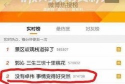 卓伟爆料双子座视频