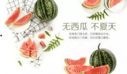 娱乐吃瓜酱文化,揭秘明星幕后故事与粉丝狂欢盛宴