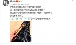 蔡徐坤新瓜爆料视频,揭秘背后惊人真相