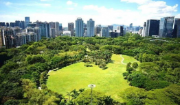 深圳市八卦最新爆料新闻,深圳某神秘事件引发热议