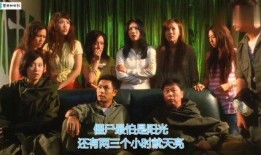 僵全集在线观看,在线观看，揭秘僵尸世界的惊悚之旅