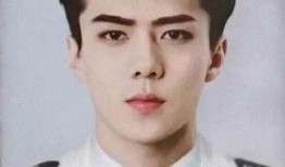 韩网最新爆料吴世勋,神秘事件背后真相揭晓！