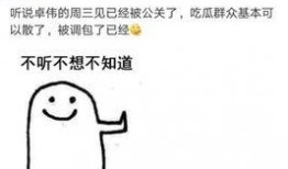 卓伟爆料笑话视频完整版,笑料百出，揭秘娱乐圈幕后趣闻