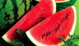 南宁网红吃瓜公众号推荐,跟随公众号推荐，解锁地道风味