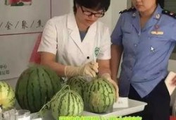 娱乐圈吃瓜群众直播视频,吃瓜群众视角下的明星幕后生活