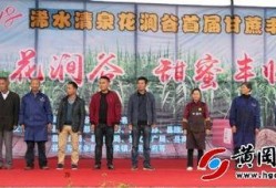浠水二小爆料新闻事件最新,揭秘校园事件背后的真相