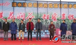 浠水二小爆料新闻事件最新,揭秘校园事件背后的真相