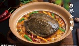 麻辣甲鱼爆料怎么做的视频,麻辣鲜香，一学就会