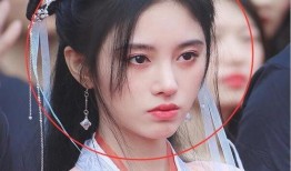 白鹿明星爆料视频大全集,揭秘娱乐圈幕后真相