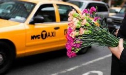 出租车三和君最新爆料,出租车行业最新内幕大曝光！”