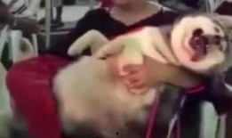 爆料某网红打小孩视频大全,网络暴力引发社会关注