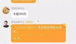 网恋失败爆料视频在线观看,揭秘网络爱情的真相与教训