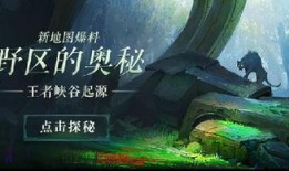 爆料王者峡谷视频大全下载,视频大全下载背后的精彩瞬间