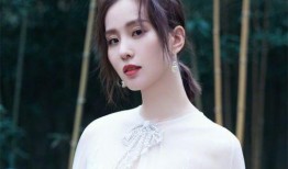 刘诗诗爆料肖战了吗视频,独家爆料视频揭秘真相