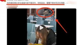 辣眼视频爆料网站,揭秘网络热点背后的惊人真相