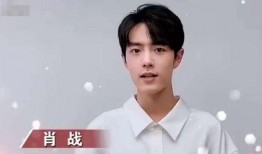 肖战现场爆料视频,独家爆料背后的精彩瞬间