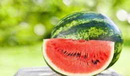 网红吃的一种瓜是什么瓜,究竟是什么瓜？揭秘网红圈流行新宠