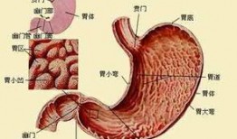 医生爆料切胃胃癌的视频,医生亲述惊心动魄的救治历程