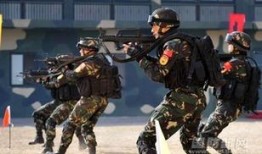 美国特种兵爆料新闻报道,战场真实经历与内幕曝光