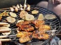 美食烧烤爆料视频播放下载,一键下载尽享美味瞬间