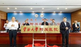 云南大医院爆料事件最新,真相与争议交织的医患关系风云